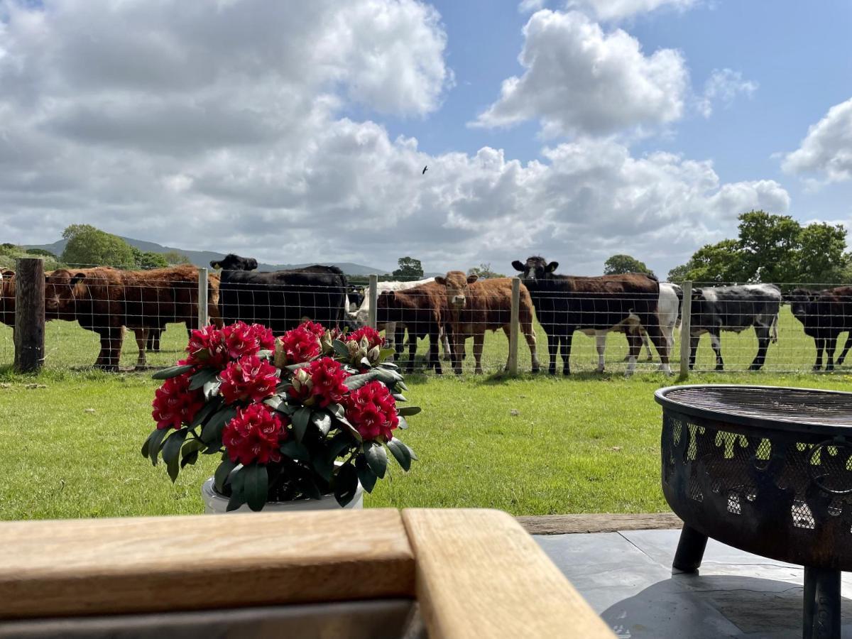 Abbey Farm Luxury Glamping 호텔 라들런 외부 사진